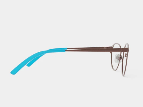 Modo - 4206 APEW Glasses 3D Model