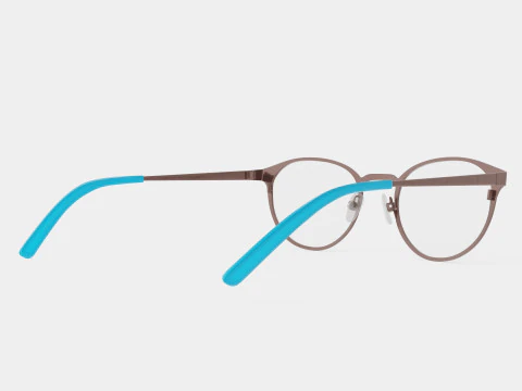 Modo - 4206 APEW Glasses 3D Model