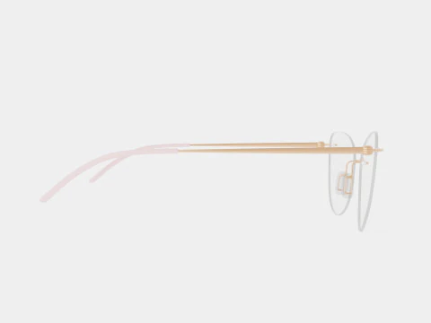 Modo - 4611 Light Gold Glasses 3D Model