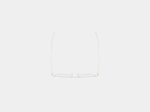 Modo - 4611 Light Gold Glasses 3D Model