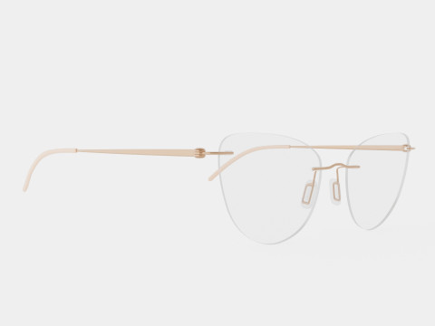 Modo - 4611 Matte Glasses Modelo 3D