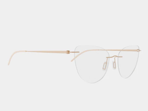 Modo - 4611 무광택 안경 3D 모델