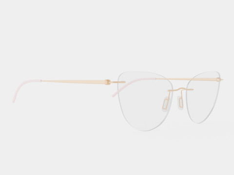 Modo - 4611 Shiny Rose Gold Glasses 3D Model