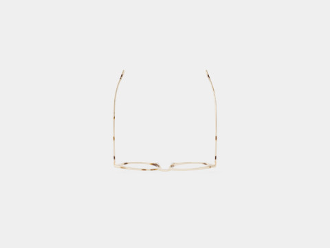Modo - Conselyea Tortoise Glasses 3D Модель