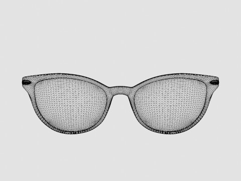 Modo - Conselyea Tortoise Glasses 3D Модель