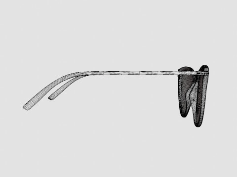 Modo - Driggs Brown Crystal Glasses 3D 모델