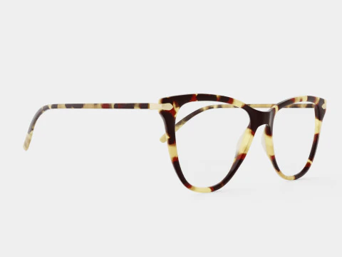 Modo - &Oacute;culos de tartaruga Driggs Modelo 3D