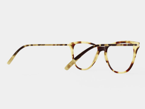 Modo - Driggs Tortoise Glasses 3D-Modell