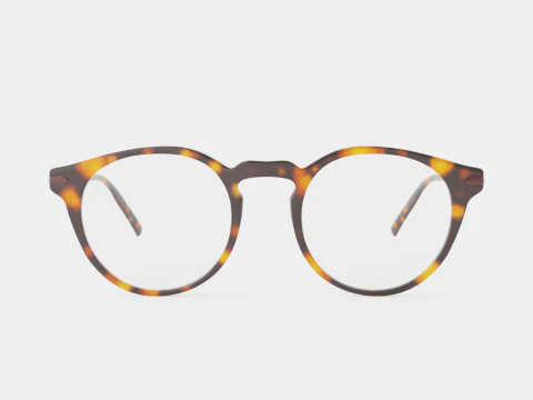 Modo - Lewis Tortoise Glasses 3D Model
