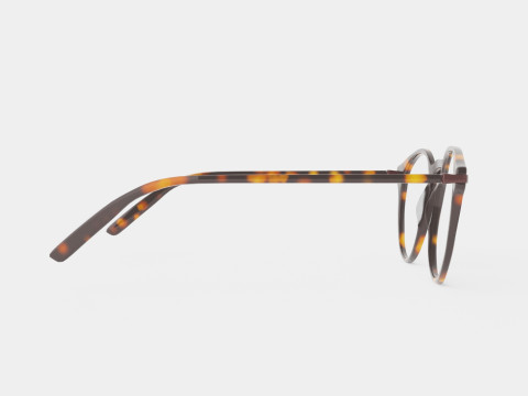 Modo - Lewis Tortoise Glasses 3D Model