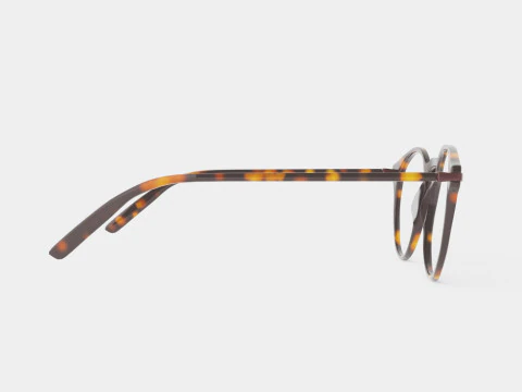 Modo - Lewis Tortoise Glasses 3D Model
