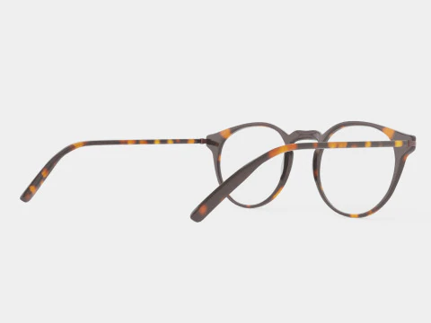 Modo - Lewis Tortoise Glasses 3D Model