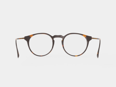 Modo - Lewis Tortoise Glasses 3D Model