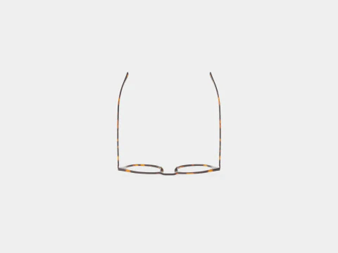 Modo - Lewis Tortoise Glasses 3D Model