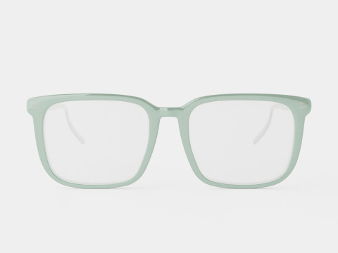 Mont Blanc MB0011O 011 Glasses 3D Model