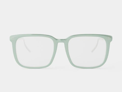 Mont Blanc MB0011O 011 Glasses 3D Model