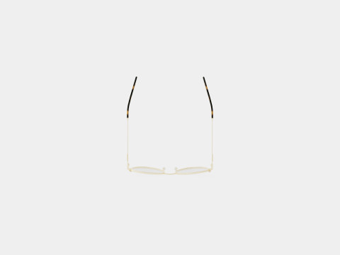 Moschino - MOS562 AOZ Glasses 3D Модель