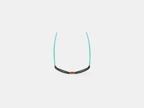 Oakley Anorak - Prizm Ruby OO9420 Sport Glasses 3D Model