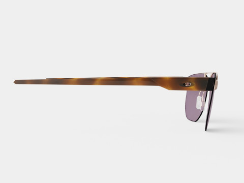 Oakley Chrystl - Prizm Grey OO4136 Glasses 3D-Modell