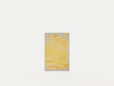 PRISMATIC PRS19 GREY GOLD Rug 3D Model