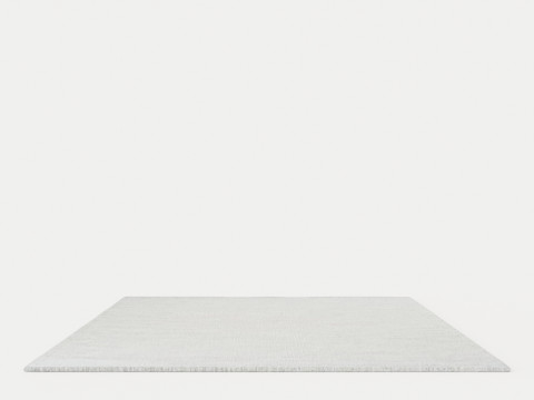 REGATTA METAL Rug 3Dモデル