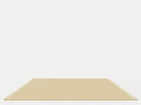 SISAL LINEN Rug 3D Model