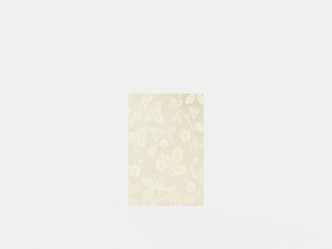 WILD STRAWBERRY TONAL 38201 Rug Model 3D