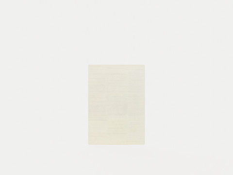 YETI CREAM 51001 Rug Model 3D