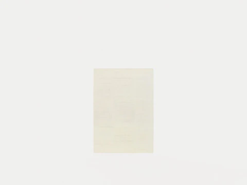 Tapis YETI CR&Egrave;ME 51001 Modèle 3D