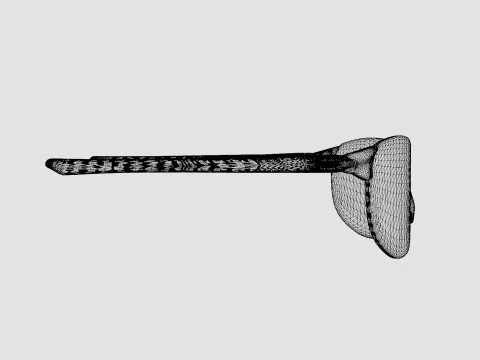 Oakley EVZero Ascend - Prizm Peach OO9453 Sport Glasses 3D Model