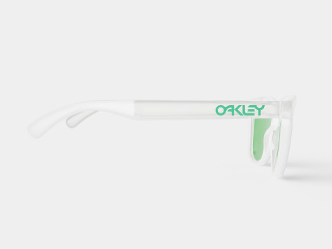 Oakley Frogskins - Prizm Jade OO9013 Sunglasses 3Dモデル