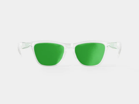 Oakley Frogskins - Prizm Jade OO9013 Sunglasses 3D Model