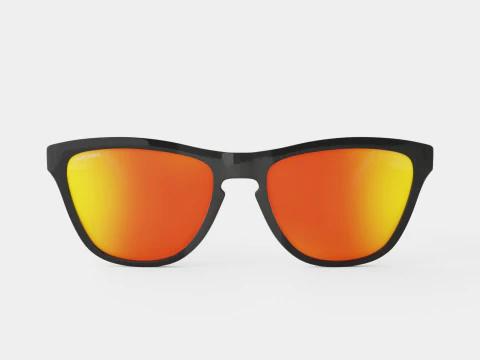 Oakley Frogskins - Prizm Ruby Polarized OO9013 Sunglasses 3D Model
