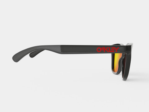 Oakley Frogskins - Prizm Ruby Polarized OO9013 Sunglasses Modelo 3D