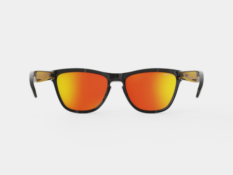 Oakley Frogskins - Prizm Ruby Polarized OO9013 Sunglasses Modelo 3D