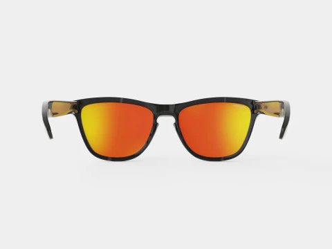 Oakley Frogskins - Prizm Ruby Polarized OO9013 Sunglasses 3D Model