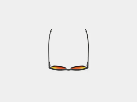 Oakley Frogskins - Prizm Ruby Polarized OO9013 Sunglasses 3D Model