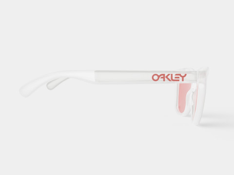 Oakley Frogskins - Torch Iridium OO9013 Sunglasses Model 3D