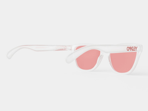 Oakley Frogskins - Torch Iridium OO9013 Sunglasses Model 3D