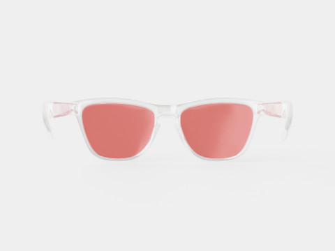 Oakley Frogskins - Torch Iridium OO9013 Sunglasses Model 3D