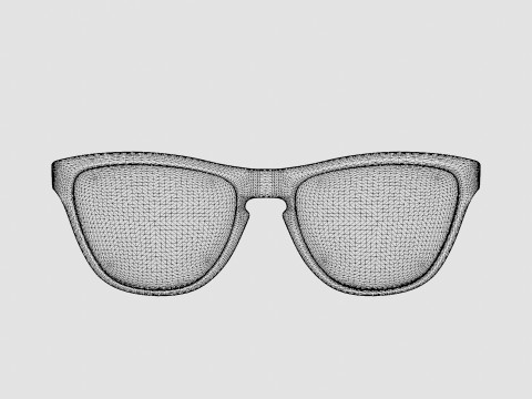 Oakley Frogskins - Torch Iridium OO9013 Sunglasses Model 3D