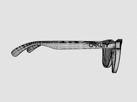 Oakley Frogskins - Torch Iridium OO9013 Sunglasses Model 3D