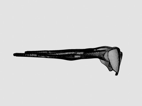 Oakley Half Jacket 2 0 - Black Iridium OO9144 Sport Glasses Modelo 3D