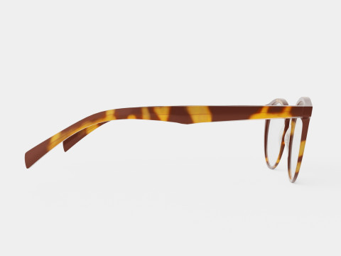 Orgreen - Daniel A003 Glasses Model 3D