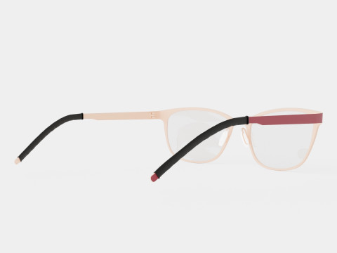 Orgreen - Mentawai 904 Glasses 3D Modell