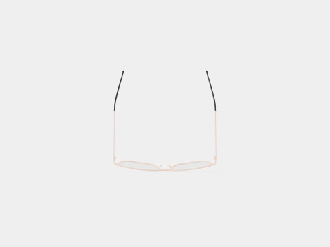 Orgreen - Mentawai 904 Glasses 3D Modell