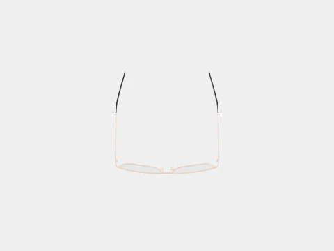 Orgreen - Mentawai 904 Glasses 3D Model