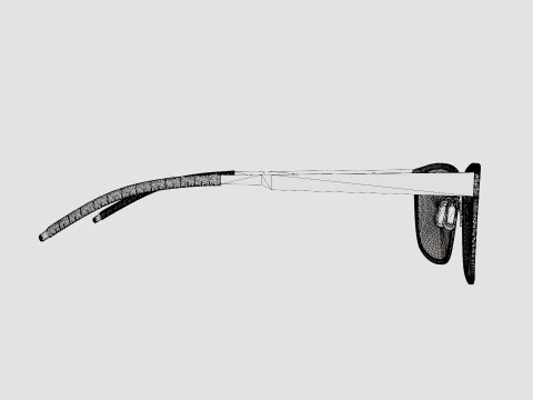 Orgreen - North Male 907 Glasses 3D Model