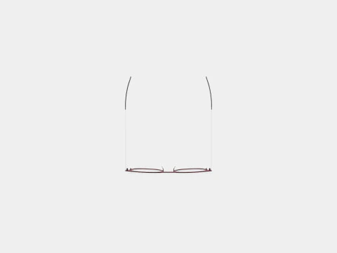 Orgreen - Oldman 443 Glasses 3D Model