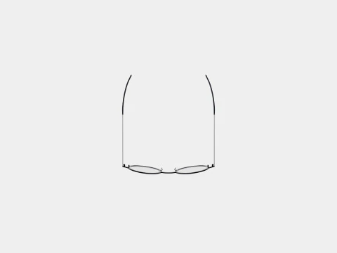 Orgreen - Propellar 602 Glasses 3D Model